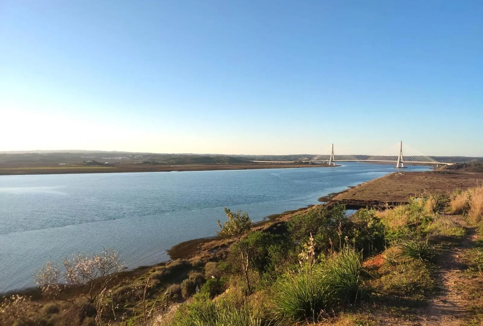 San Diego Apartment Ayamonte